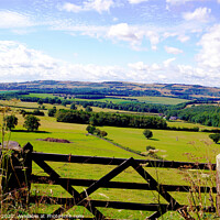 Buy canvas prints of Derbyshire countryside. by john hill