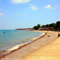 Buy canvas prints of Spring Vale beach on th Isle of Wight. by john hill