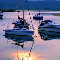 Buy canvas prints of Sunset at Shell Island, Wales. (portrait) by john hill