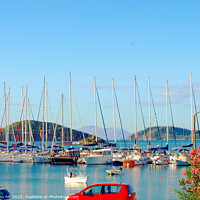 Buy canvas prints of Yachting Haven, Skiathos, Greece. by john hill
