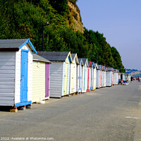 Buy canvas prints of Promenade at Small Hope beach Shanklin, Isle of wight by john hill