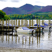 Buy canvas prints of Jetty reflections on Derwentwater Keswick Cumbria by john hill