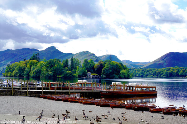 Derwentwater with Cat bells and Maiden moor Cumbria Picture Board by john hill
