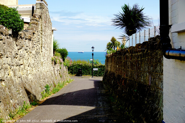 Sea view from a cliff top lane at Shanklin, Isle of Wight. Picture Board by john hill
