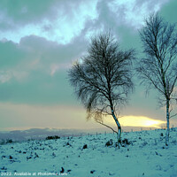 Buy canvas prints of Winter at dawn in Derbyshire. by john hill