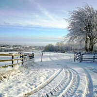 Buy canvas prints of Derbyshire Winter by john hill