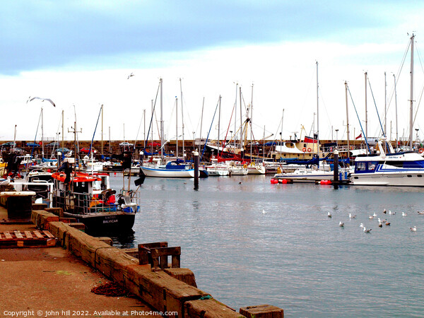 Scarborough Harbour Yorkshire. Picture Board by john hill
