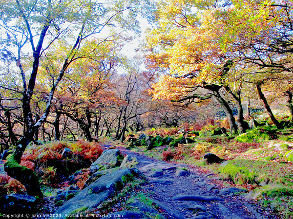 Padley gorge, Derbyshire. Picture Board by john hill