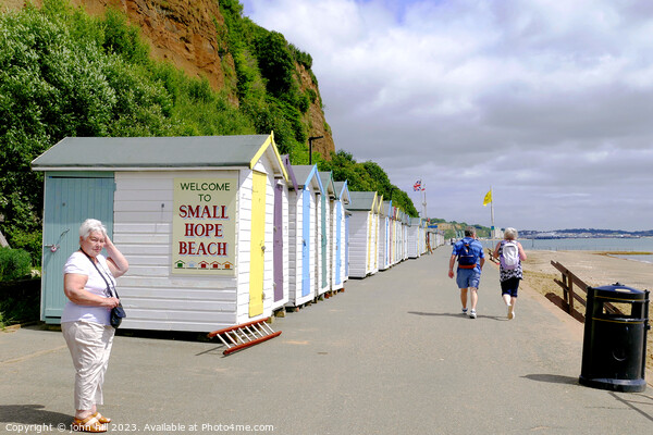 Small Hope Beach. Picture Board by john hill