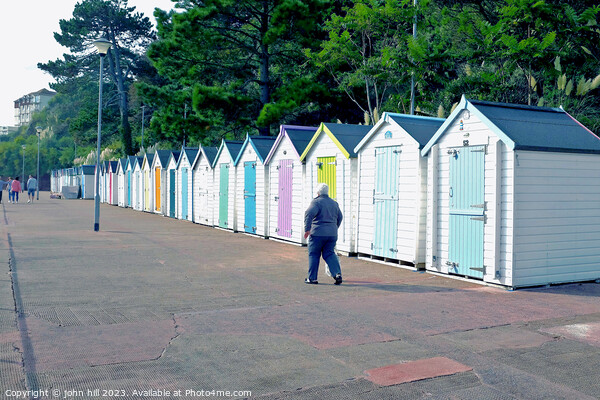 Seaside beach huts, Goodrington, Paignton, Devon, UK. Picture Board by john hill