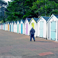Buy canvas prints of Seaside beach huts, Goodrington, Paignton, Devon, UK. by john hill