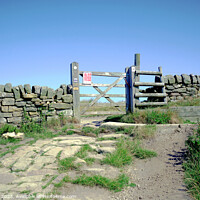 Buy canvas prints of Gate and stile, curber edge, Derbyshire by john hill