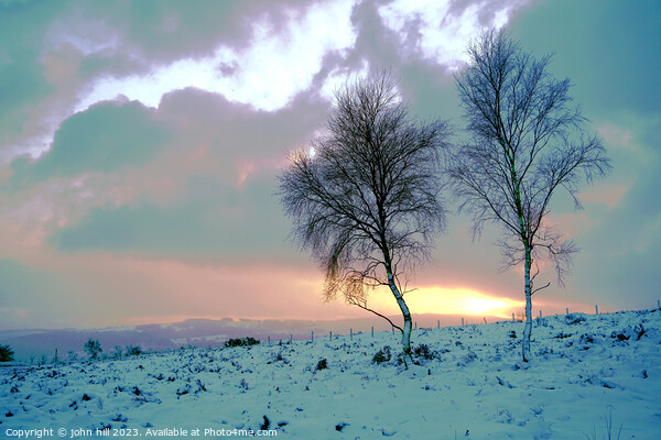 Majestic Winter Wonderland in Derbyshire Picture Board by john hill