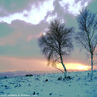 Buy canvas prints of Majestic Winter Wonderland in Derbyshire by john hill