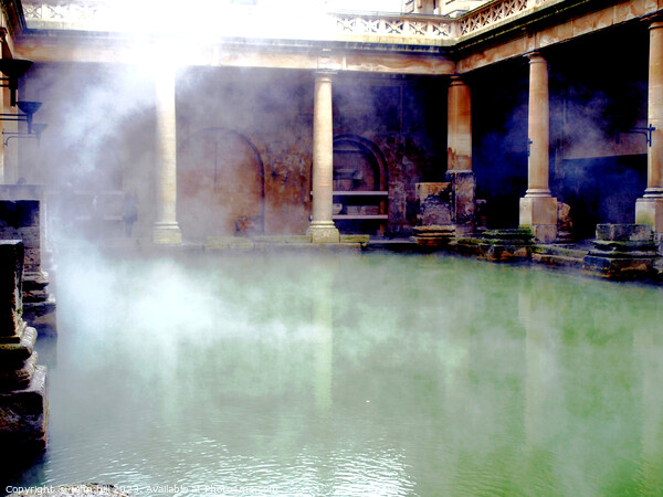 Ancient Roman Baths Alive Picture Board by john hill