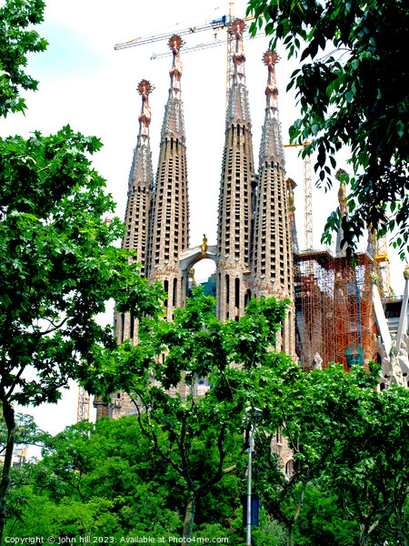 Gaudí's Masterpiece Picture Board by john hill