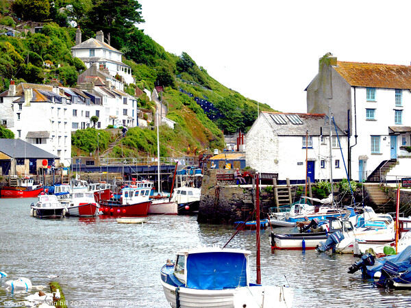 Picturesque Polperro Picture Board by john hill