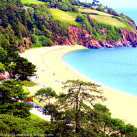 Buy canvas prints of Serene Blackpool Sands of South Devon by john hill