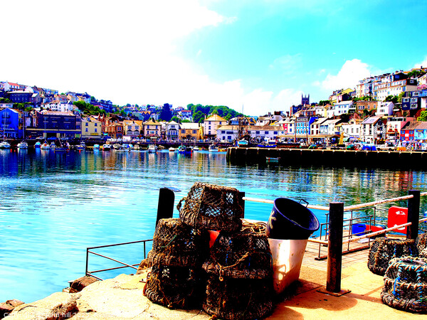 Vibrant Brixham Harbour Picture Board by john hill