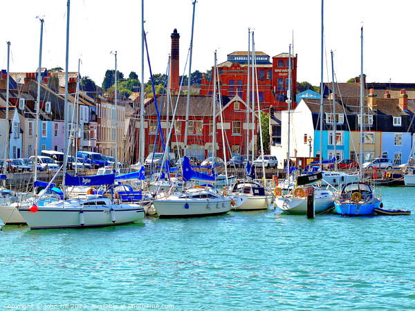 Vibrant Quay with Yachts in Weymouth Picture Board by john hill