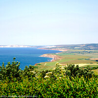 Buy canvas prints of Enchanting Panorama of the Isle of Wight by john hill