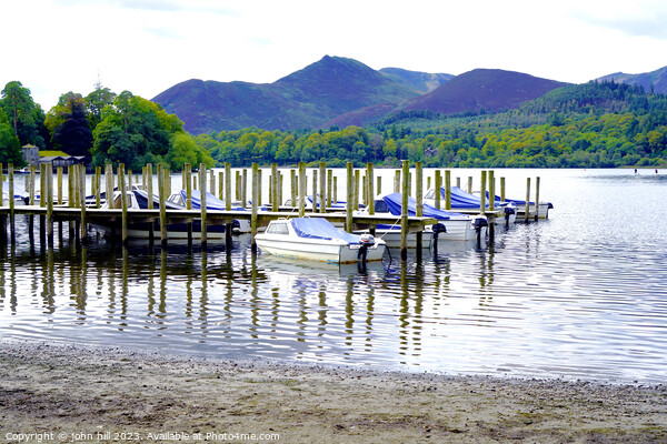 Serene Pillars Embracing Dewentwater's Symphony Picture Board by john hill