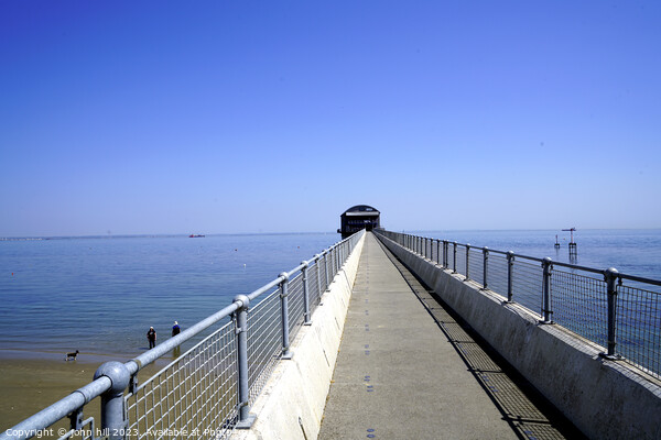Stroll Towards Bravery: Bembridge Lifeboat Path Picture Board by john hill