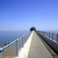 Buy canvas prints of Stroll Towards Bravery: Bembridge Lifeboat Path by john hill