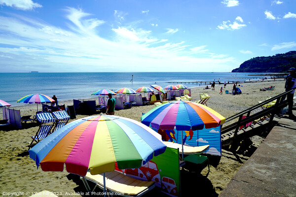 Serene Shanklin: A Summer Symphony Picture Board by john hill