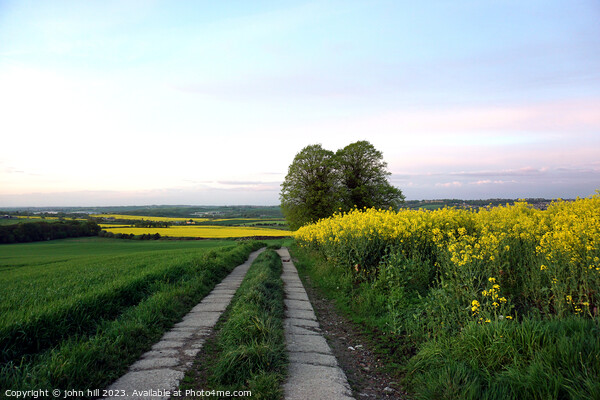 Rapeseed, Scarsdale hall estate, Derbyshire. Picture Board by john hill