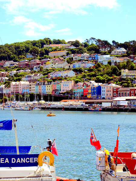 Vivid Kingswear: A Dartmouth River Perspective Picture Board by john hill