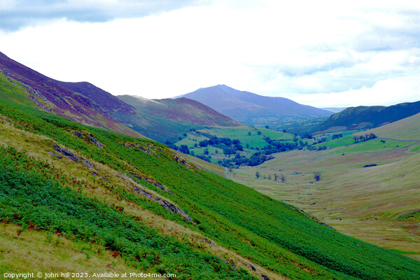 Newlands valley and Skiddaw, Lake district, Cumbri Picture Board by john hill
