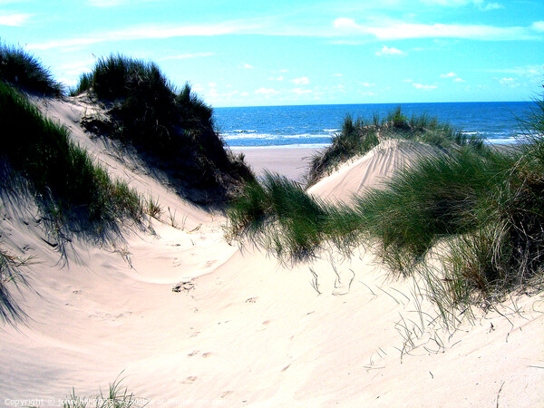 Sand dunes of Morfa Dyffryn, Wales Picture Board by john hill