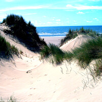 Buy canvas prints of Sand dunes of Morfa Dyffryn, Wales by john hill