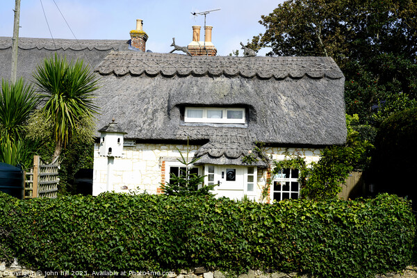 Brighstone thatched cottages, Isle of Wight Picture Board by john hill