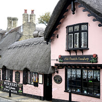 Buy canvas prints of Old thatch teashop, Shanklin, Isle of Wight. by john hill