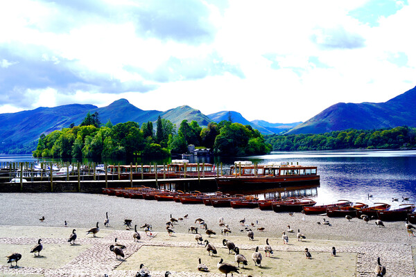 Derwent water at Keswick, Lake district. Picture Board by john hill