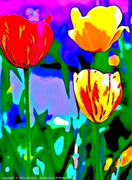 Painted Tulips Picture Board by john hill