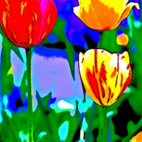 Buy canvas prints of Painted Tulips by john hill