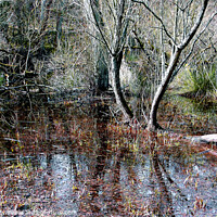 Buy canvas prints of Marshland, Derbyshire, UK. by john hill