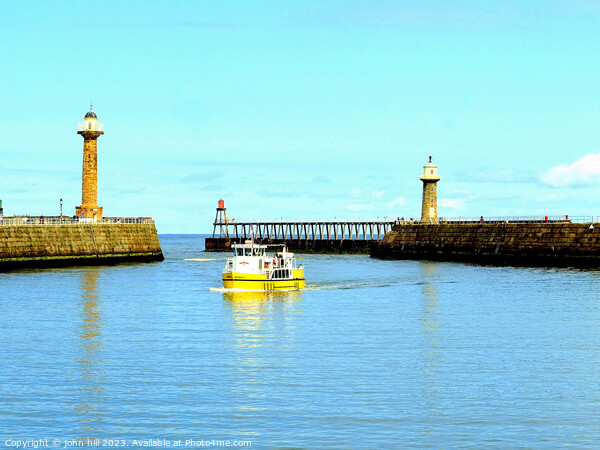 The Twin Piers, Whitby, Yorkshire. Picture Board by john hill