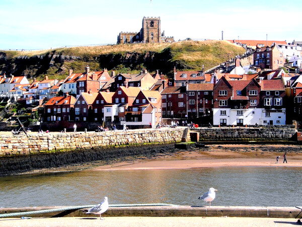 St.Mary's church, Whitby, Yorkshire. Picture Board by john hill