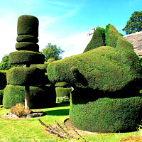 Buy canvas prints of Topiary. by john hill