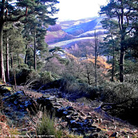 Buy canvas prints of Goyt valley, Derbyshire. by john hill