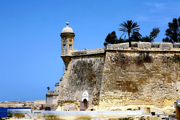 Watchtower, Malta. Picture Board by john hill