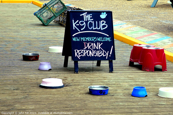 The K-9 club. Picture Board by john hill