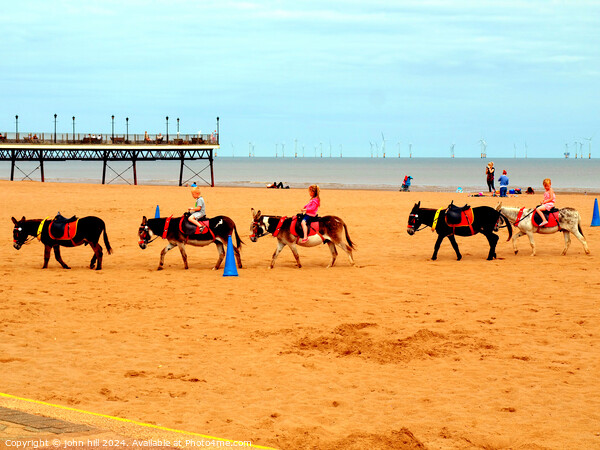 Beach Donkey Rides. Picture Board by john hill