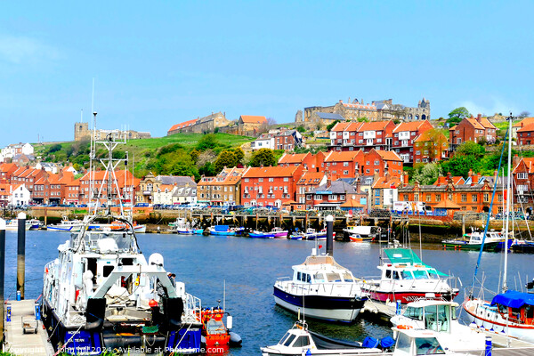 Whitby, Yorkshire. Picture Board by john hill