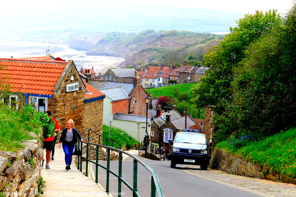 Robin Hood's Bay,Yorkshire. Picture Board by john hill
