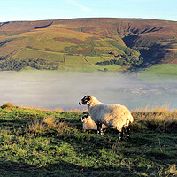 Buy canvas prints of Morning mist at Edale valley. by john hill
